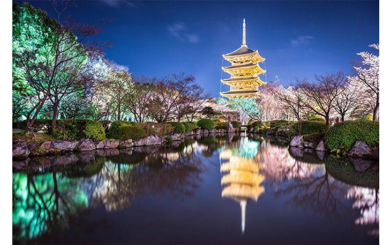 如何打造出讓市民滿意的公園亮化工程？